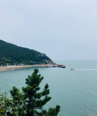 去青岛吃大虾,啤酒博物馆太有意思了吧,崂山风景舒服,适合度假