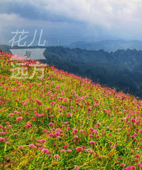 ·ȻСڣ羰ӰǲȹˣԸ