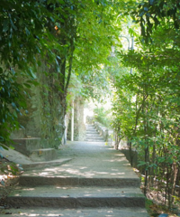 除了黄葛古道,南山这条路线更安逸,景美人少,能路过网红打卡点