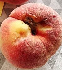 ������ĳˮ���������������ӣ����ۺ�ȴ��ôҲ�Ҳ�����