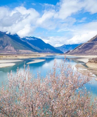 ÿһ֡�����ֽ�������ձ���Ϊ����call�ĵط������ж���