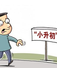 明明孩子小学初中高中都安排好了,我却为了读“七龙珠”名校折腾