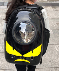 第一次带猫去打疫苗,结果医生说它便便有点稀,要过几天才能打
