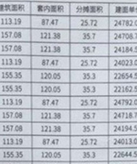 已经看不懂现在的重庆楼市了,谢家湾华润悦府开盘,单价3万左右