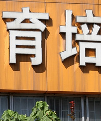 巴南区真的很落后?想孩子读“七龙珠”,机构老师劝我不要去拼