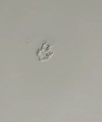 ��æ����������¥����ˮ�������