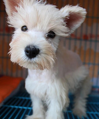 ֻ̰ɫѩؼңӴԺҲй