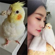 我的玄风鹦鹉会喊爸妈