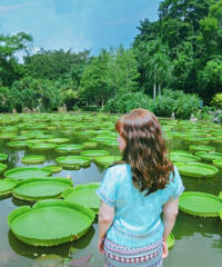 ˫3ΣСС̩֮ƣ۲󻹺ó