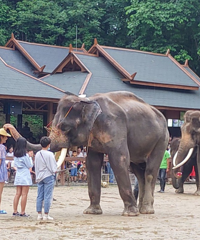 һΣӴһ·ˣ˫ɣЩطҪ