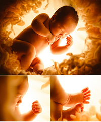 �ҼҶ��������ݵ���