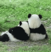 ��923ֵ���򡿷�����������Ů˯��69������˹������׿�2