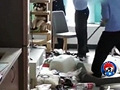 租客留下狗屎和垃圾