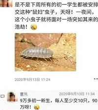 9ѧȫǡͨ󸾣мҳϧëһֻ߼