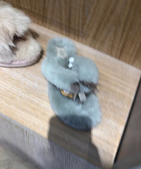 ����UGG��������Щ�����Ϻ���