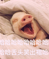 淘宝的问大家=皮皮虾+知乎+故事会,这些让我笑出了猪叫声