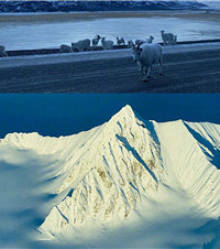 ��Щ����Ӱ���й�ģ���ǣ�����ϲ��˭����Ӱ���