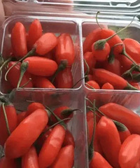 ���Ͽ������ʵ���轾�Ȼ�������������ǲ�����ģ�