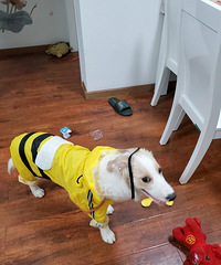 Ҽҵı4´Ѿ26ѰСһˣѽ