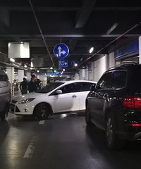 Ů˾ǲǾ͸׸ԷҪ󹤷