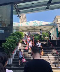 重庆渝中区三大巨头关于摇号政策,初中问题又怎么解决?