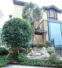 大家买了别墅都不住吗?我的联排接房了,小区没人气,都不敢装修