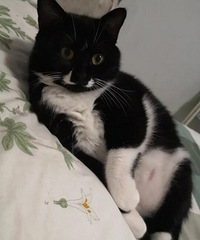 ɴֻèſұ˯ʱҪ˯һͷ