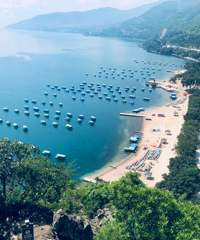 ȥɺס˳˵ĺȼپƵ꣬ʳֺó