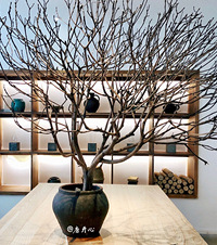 �򿨽�ɽ�������̫꣬�ʺϰ����ͣ��ֻ�Ҳ�ܳ���Ƭ