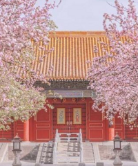 此生一定要去一次故宫,除了感受文化,一年四季都美得让人惊叹