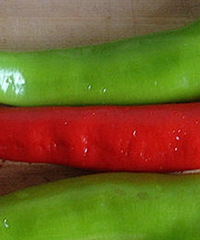 ǲÿ˶гʶäû֪֪ʶ