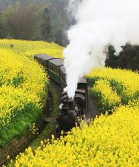 ɽüιˣ㡢ס޺ʳһ©get