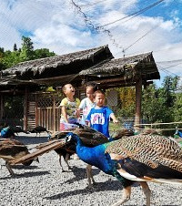 ʢʺһСסޣ399ԪͣܺͿȸܽӴ