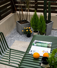 ҵĶ¹ֵըѣդǽ˼˿