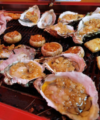 ����һ������Ļ����տ�������������������ζ