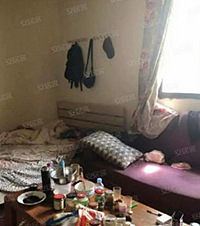 ΪѧСORϺõķУķӻо