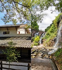 万盛适合一家人小住的民宿,399元还包正餐,能和孔雀亲密接触