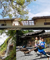 适合周末小住的民宿,还可以喂孔雀