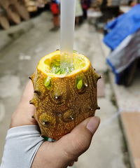 ���������ȥˣǧ��������ˮ�����ֹ����ѳ�