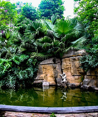 ·ŵڴƺĶַ7ǧͷȹ԰