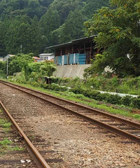 被父母家暴后,13岁男孩离家出走到深山,住洞窟,捉野猪