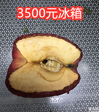 越贵的冰箱保鲜能力一定越强?3款不同价位冰箱测评,结果很意外