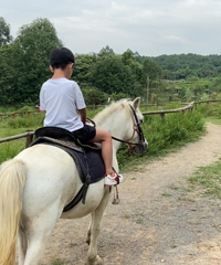 ǾͿܣ۸񲻹нĺõطٻ