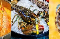 ��Ҷ������ĺ��ʻ�ĵϣ�����̩��ζһ����������