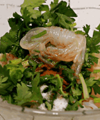 西南大学的0卡魔芋爽