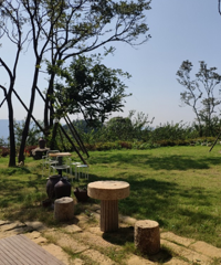 1Сʱ�͵�����̳�ֲݵ����ޣ��ޱ�Ӿ�غʹ��ƺ̫������ƻ���ˢ