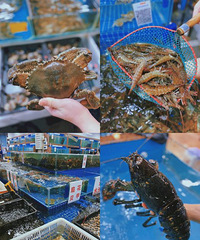 �ù��ڵ������г���ſ���һ�ٷ�ʢ�ĺ��ʴ��