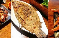 ������������ˢ��̩�ͣ������������պ����һ��