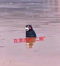 洪峰漂到万州的“二熊”回家了,龙门浩熊大熊二团圆了哈哈哈哈哈