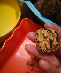 网购到了壳薄还好剥,膜不苦还好撕的鲜核桃